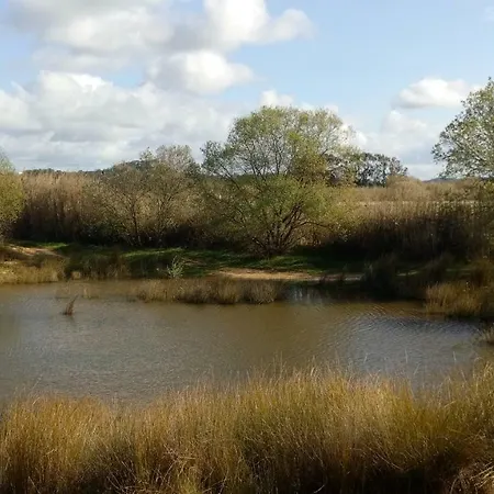 Tatil Evi Casa D Amelia Óbidos