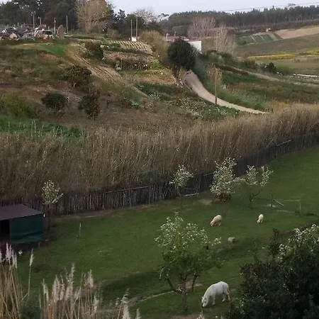 Casa D Amélia Сasa de vacaciones Óbidos