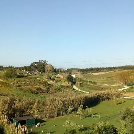 Casa D Amelia Óbidos